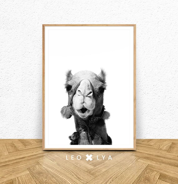 Camel Wall Art Kids Room Decor Kids Poster Desert Animals Print Nursery Animals Camel Portrait Photography Animals