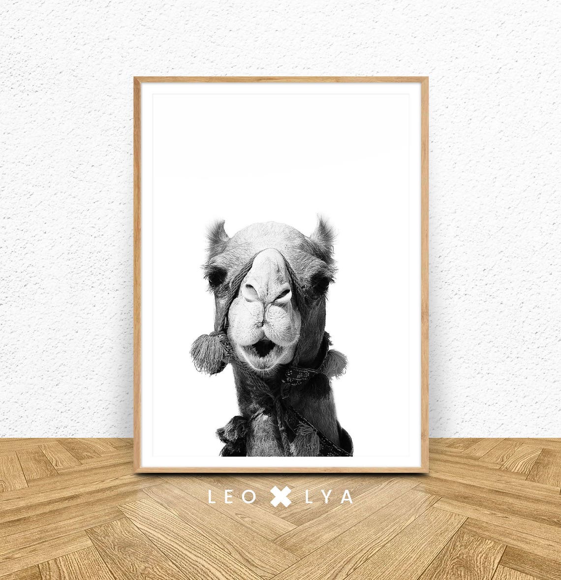 Funny Camel Face Black and White Desert Animal Photo Art Poster