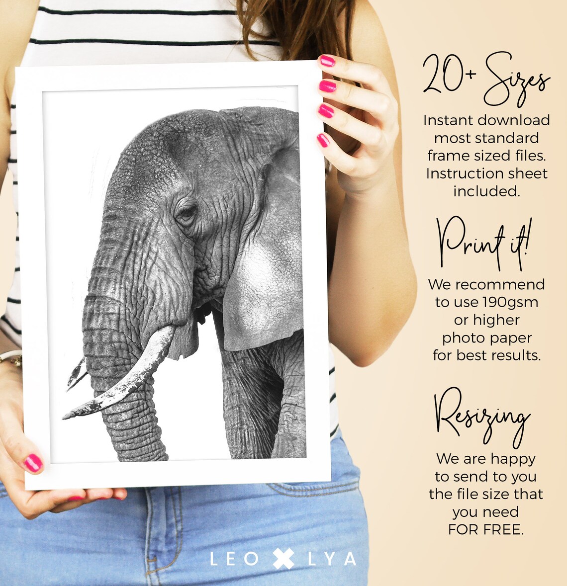 Big Elephant Photography Safari Nursery Animal Print