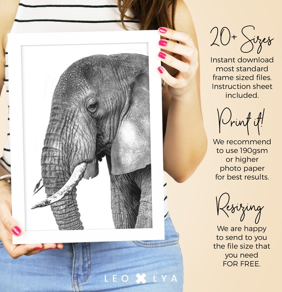 Big Elephant Photography Safari Nursery Animal Print