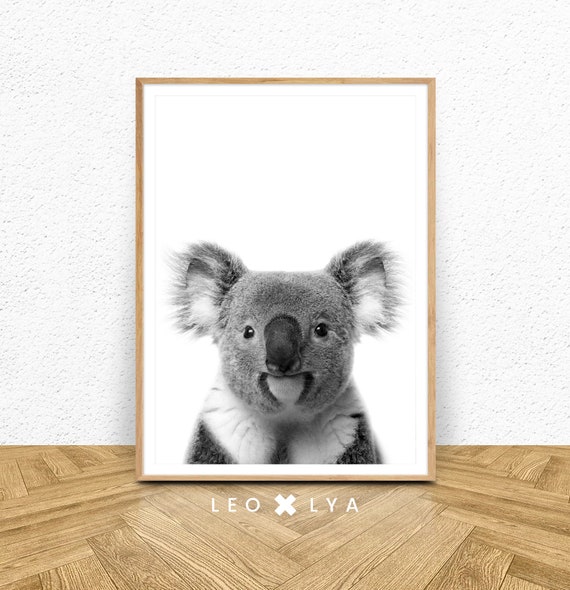 Black And White Koala Nursery Art Print