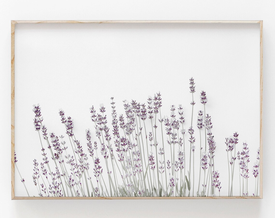 Lavender Print Botanical Flower Art Poster - Image 2