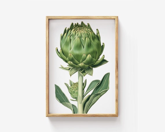 Elegant Artichoke Art Botanical Vegetable Wall Print Minimalist Farmhouse Kitchen Decor