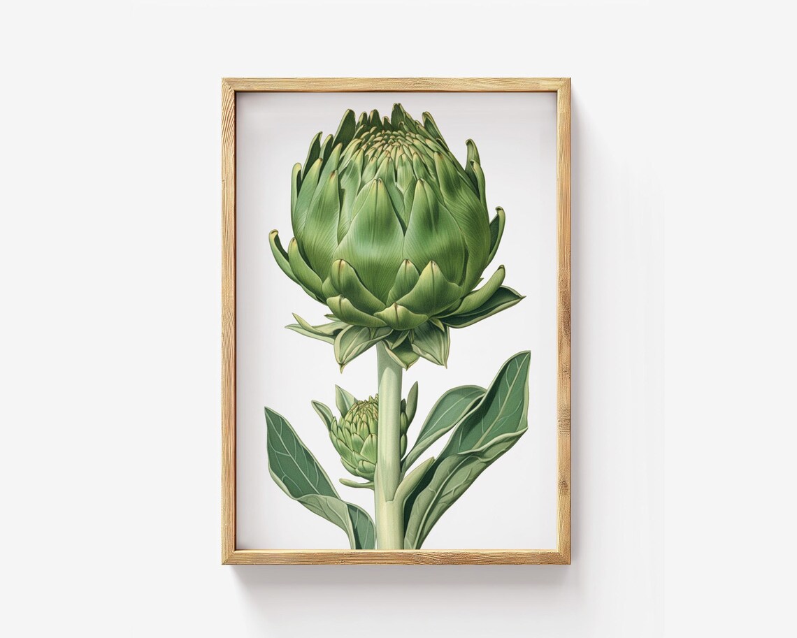 Elegant Artichoke Art Botanical Vegetable Wall Print Minimalist Farmhouse Kitchen Decor
