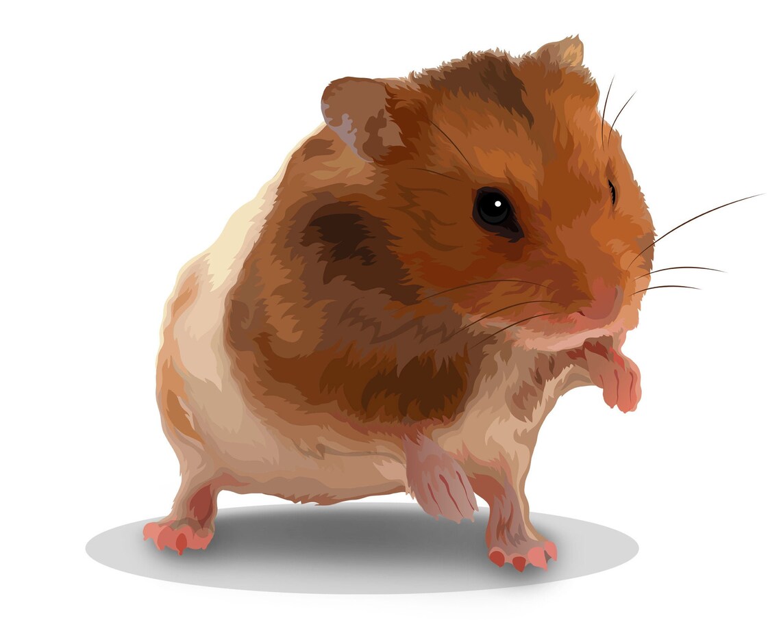 Sissy the Pet Rat Portrait From Photo Custom Illustration Poster - Image 5