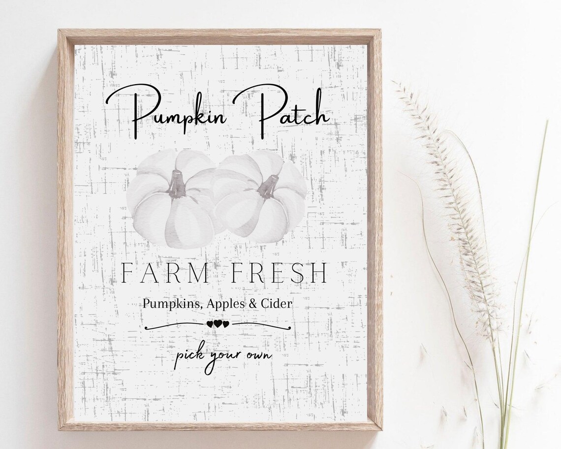 Pumpkin Patch Farm Fresh White Pumpkins Distressed Fall Sign Wall Poster