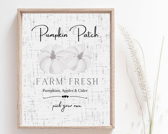 Pumpkin Patch Farm Fresh White Pumpkins Distressed Fall Sign Wall Poster