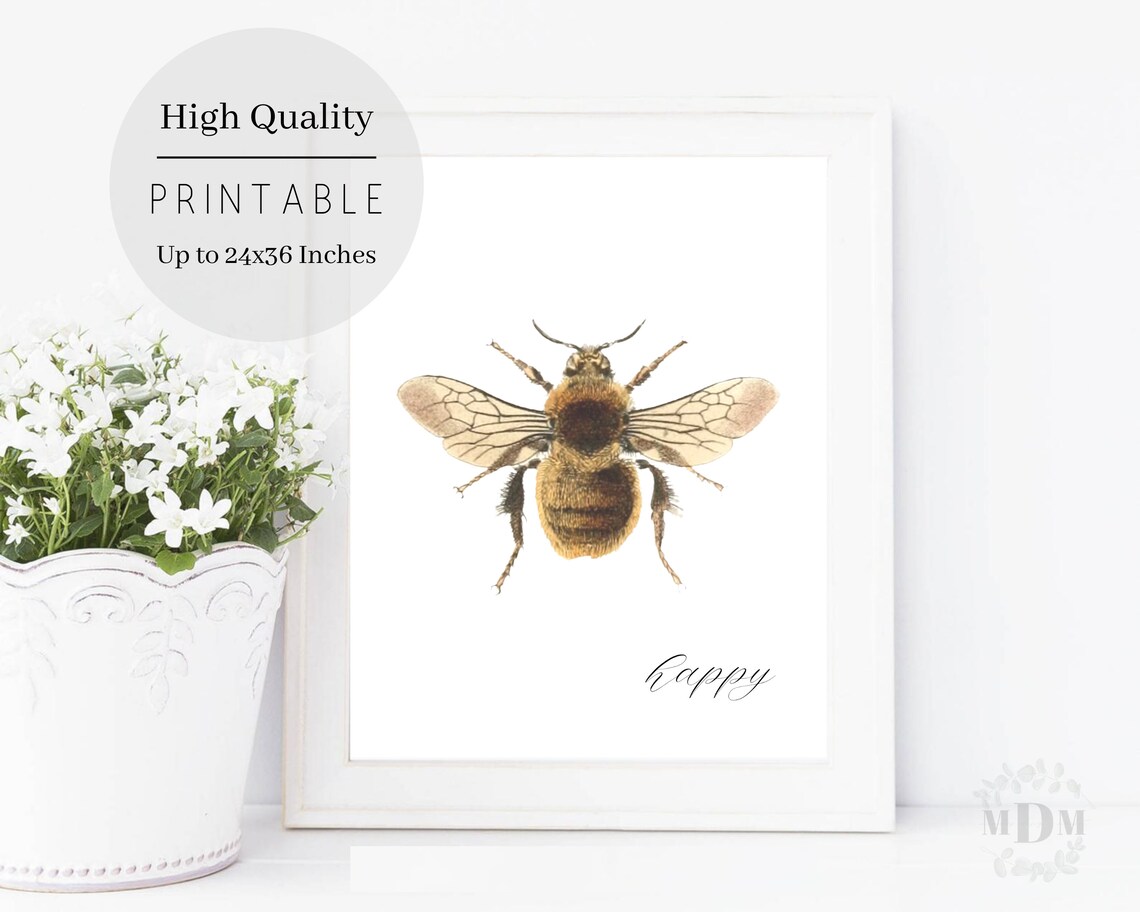 Vintage Bumble Bee Illustration Happy Script White Spring Wall Art Poster - Image 4
