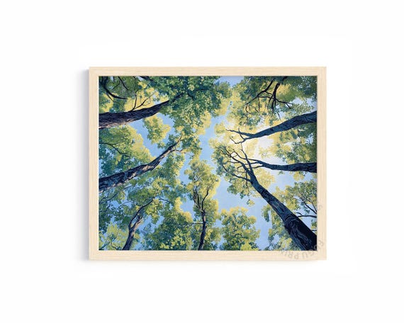 Tree Canopy Print, Forest Sky View Nature Art