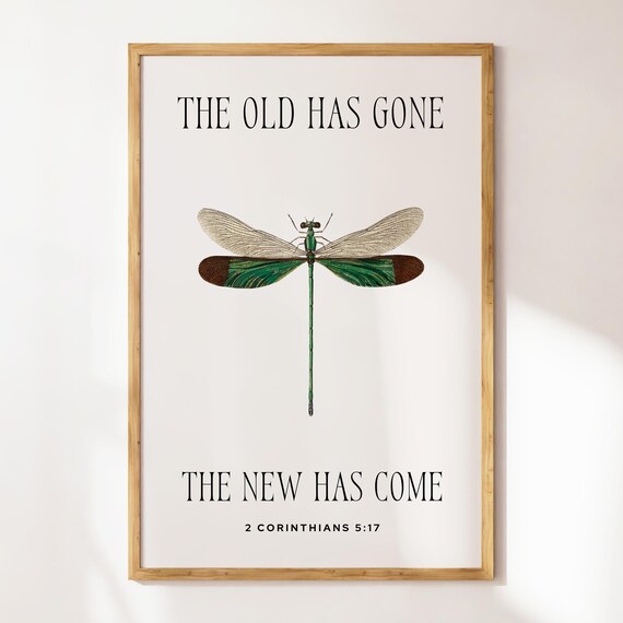 The Old Has Gone The New Has Come 2 Corinthians 5 17 Damselfly Poster