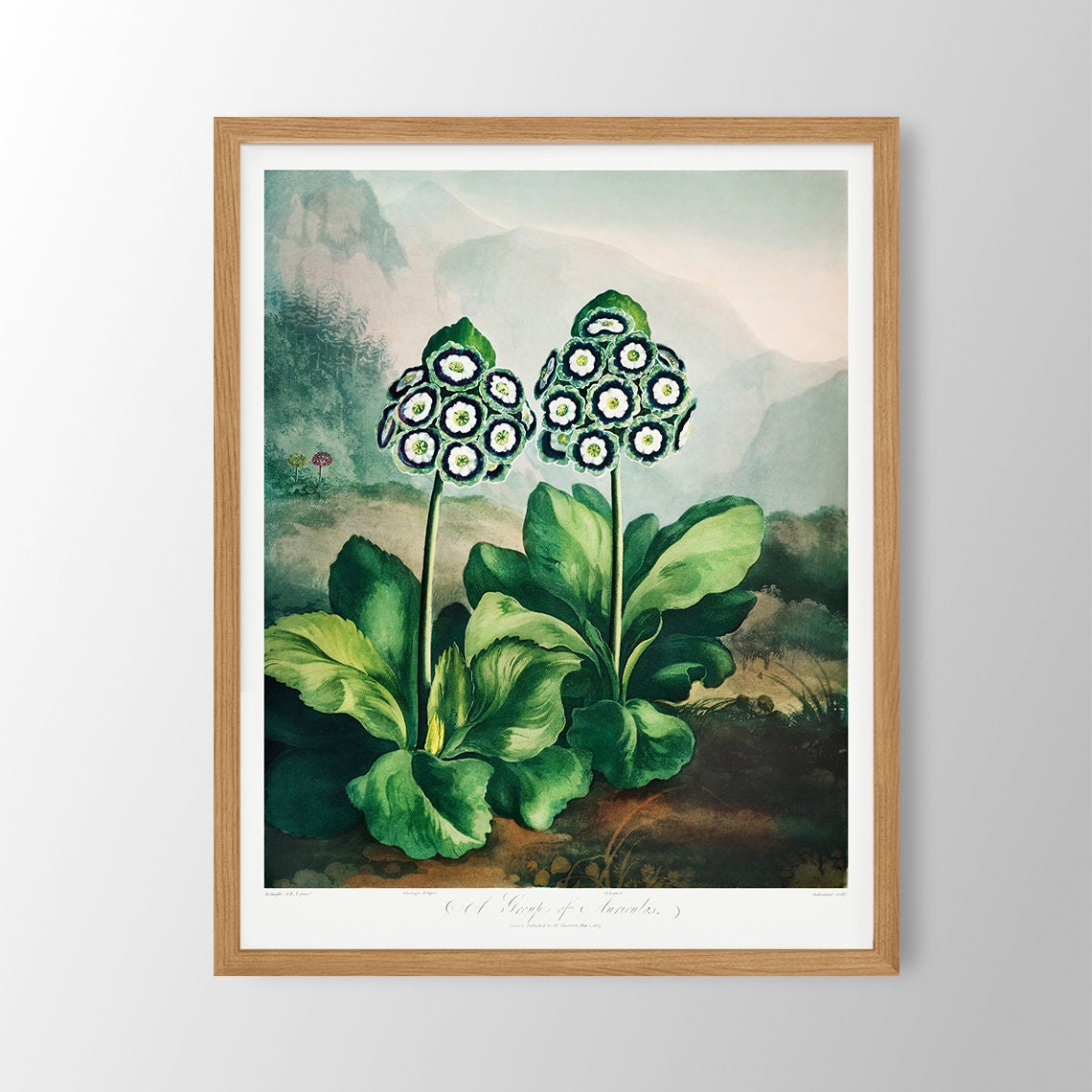 Vintage Flower Print Farmhouse Wall Art Botanical Kitchen Decor Dining Room Bedroom Bathroom
