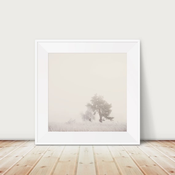 Winter Nature Photograph Tree Print, Suffolk Countryside