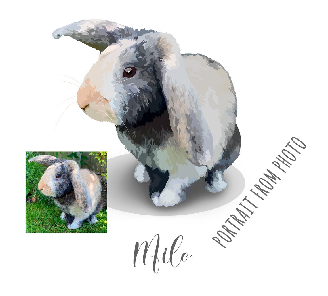 Custom Lop Rabbit Portrait Milo Vector Illustration Art Poster
