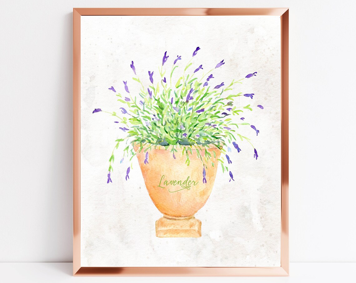 Lavender Watercolor Herb in Classic Urn Botanical Wall Poster