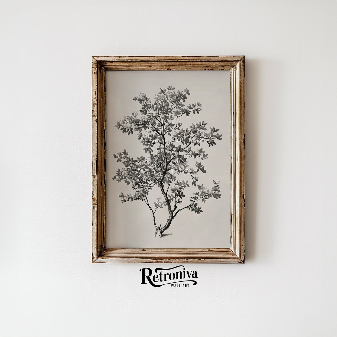 Antique Black And White Botanical Shrub Drawing Vintage Poster - Image 6