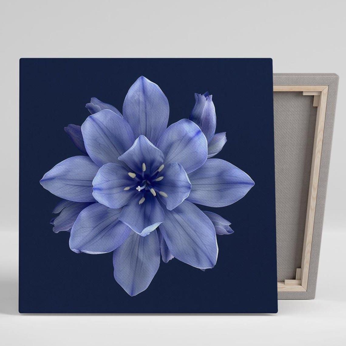 Periwinkle Blue Iris Mandala Bloom Dark Navy Botanical Art Poster