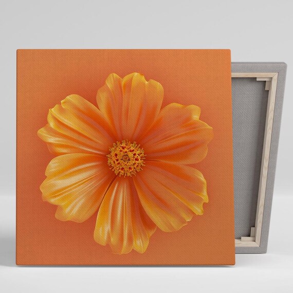 Orange Cosmos Flower Bloom On Warm Orange Background Floral Poster