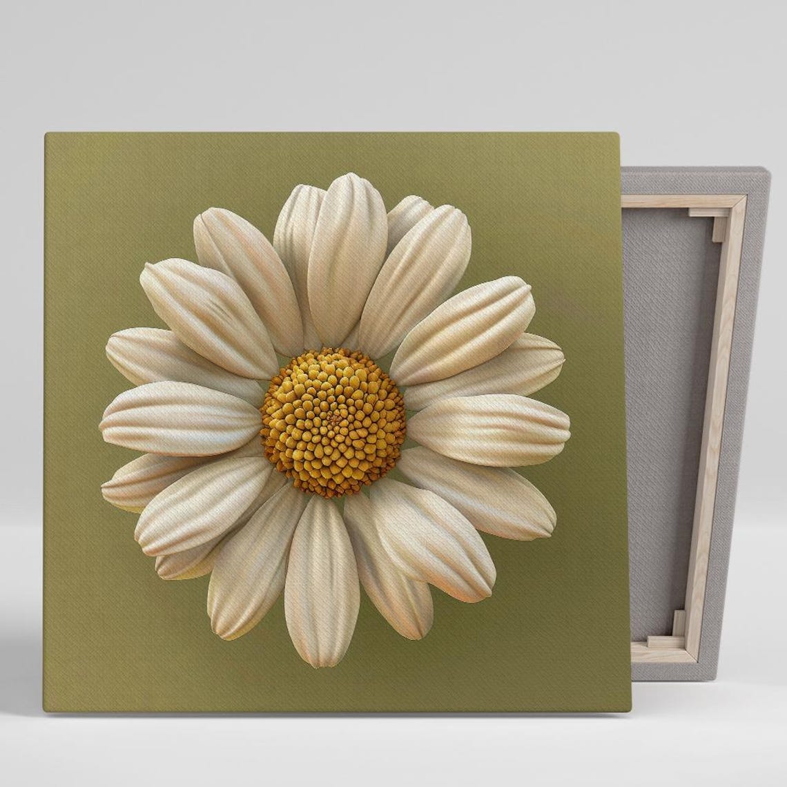 Cream Daisy Bloom with Golden Center on Olive Green Backdrop Print