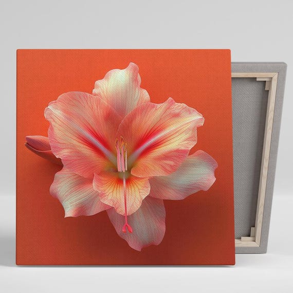 Hibiscus Art Or Poster Tropical Elegance Decor Modern Minimalist Glam Wall Art Pink Orange Red White Floral Print Hibiscus Decor