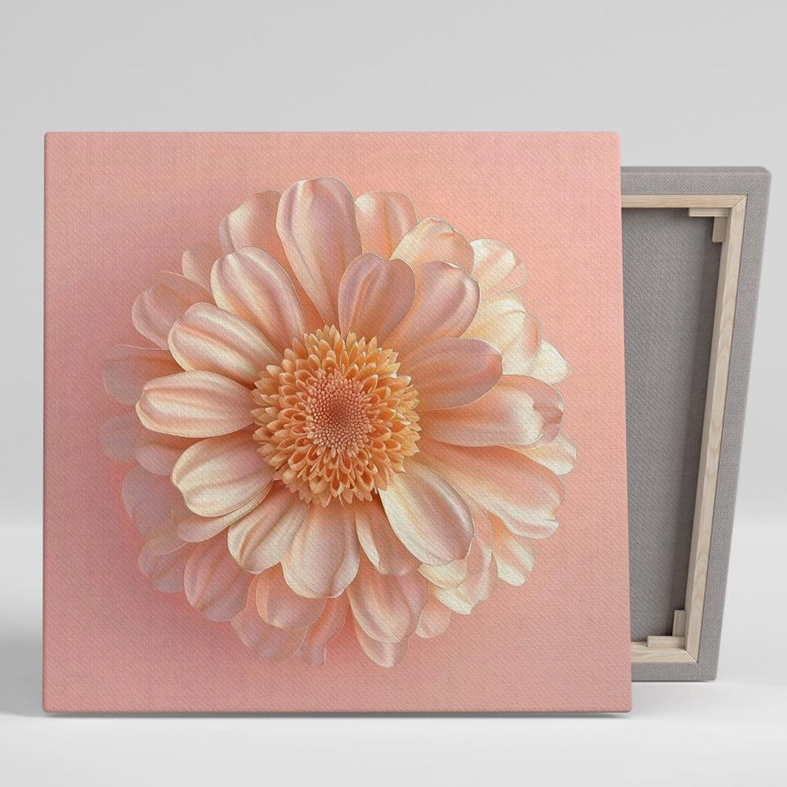 Peach Dahlia Flower Close Up Photography Pink Background Art Poster
