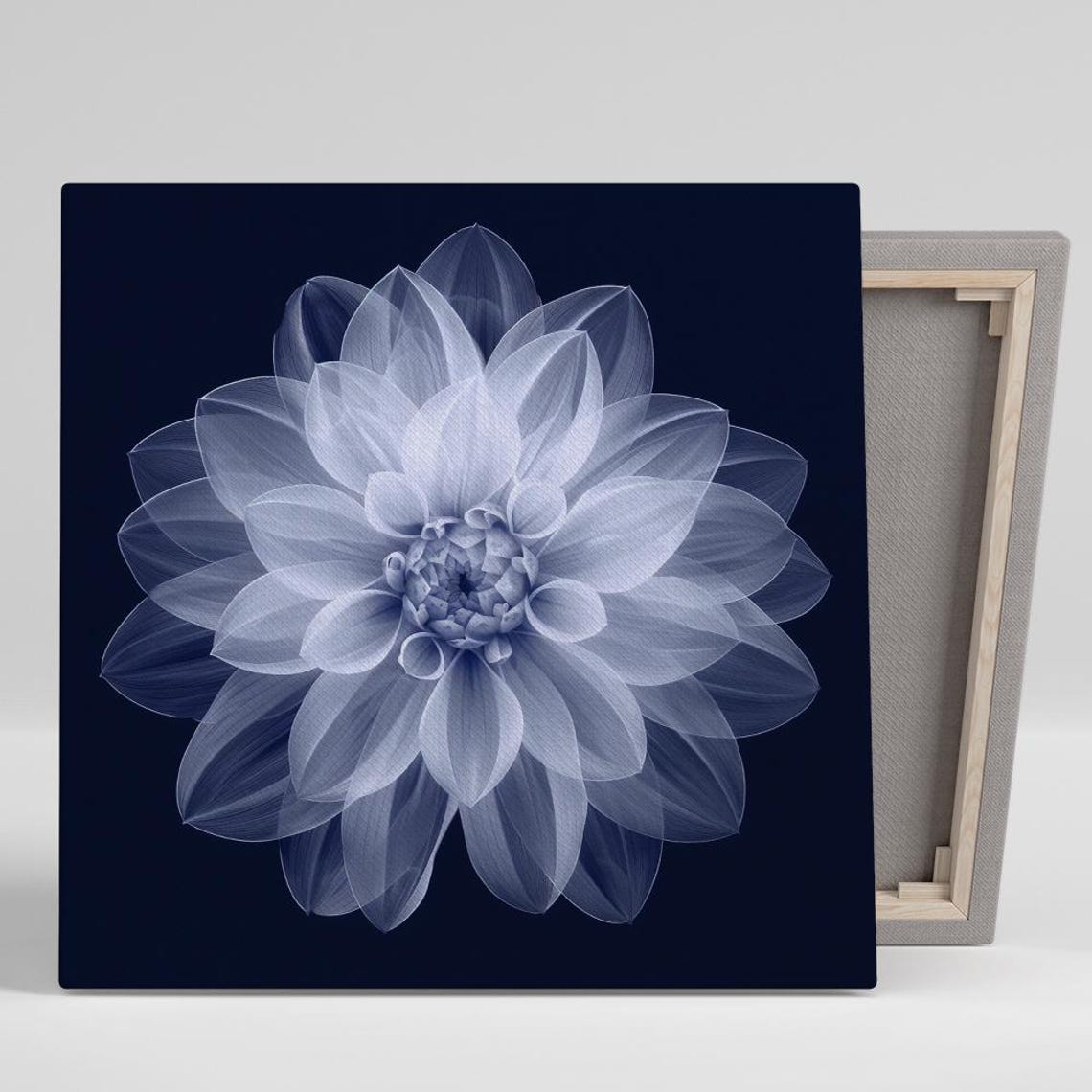 White Translucent Dahlia Bloom On Midnight Navy Background Art Poster