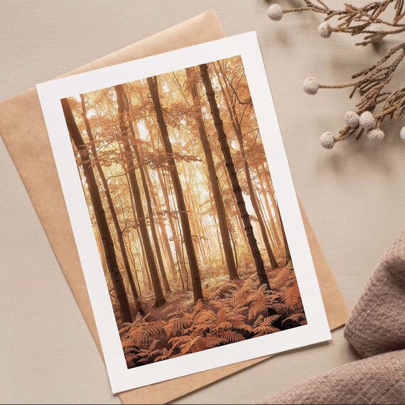 Warm Golden Autumn Forest Sunlit Trees Photography Art Print