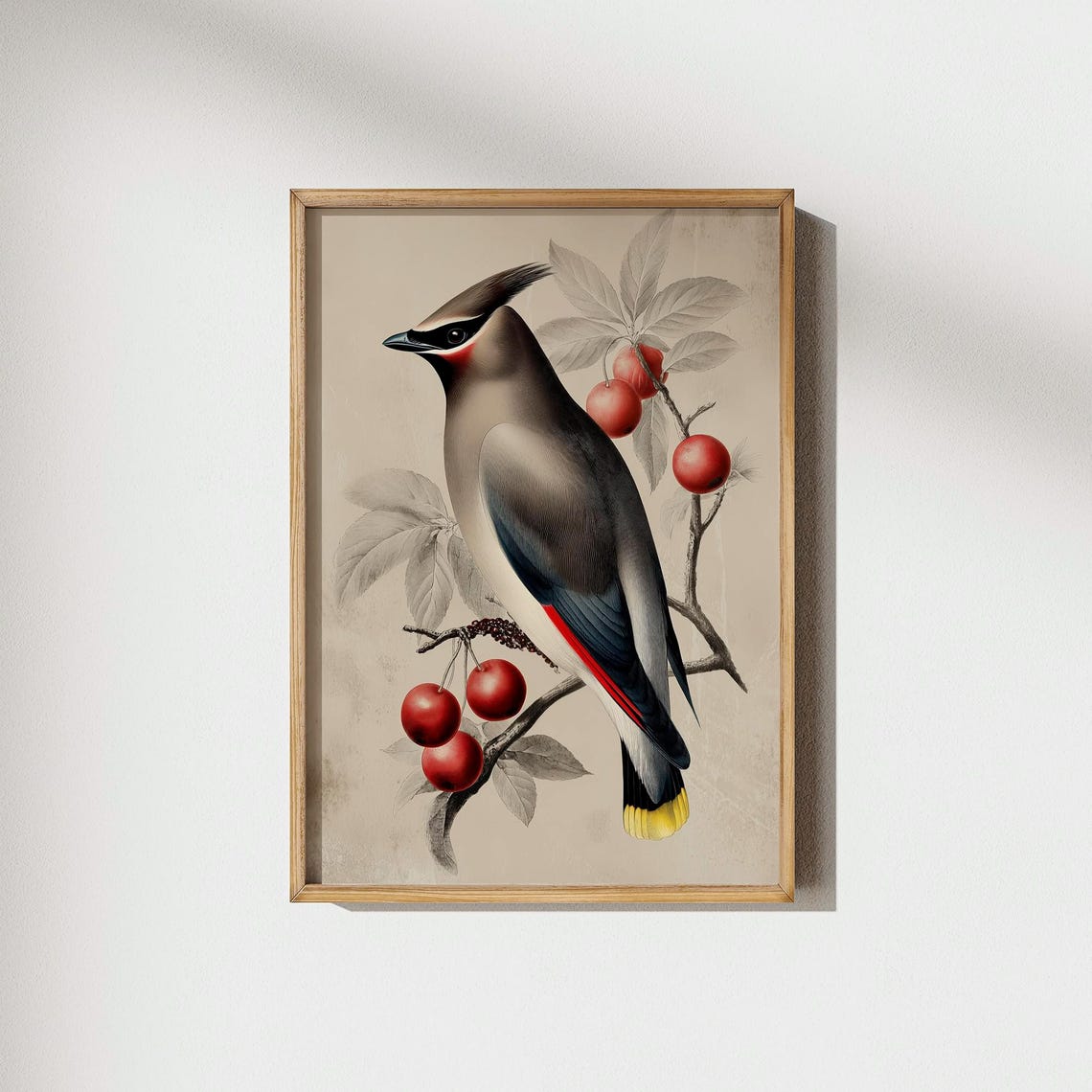 Cedar Waxwing Bird With Red Cherries Vintage Illustration Poster