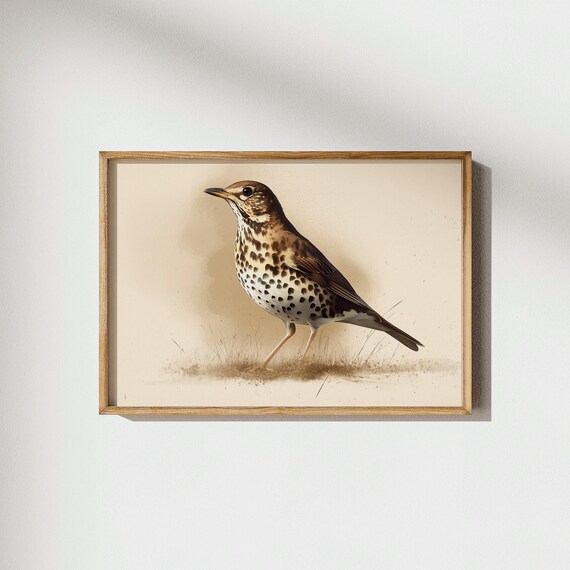 Spotted Thrush Bird Art Brown Speckled Songbird Vintage Illustration Nature Wall Decor Watching Prints