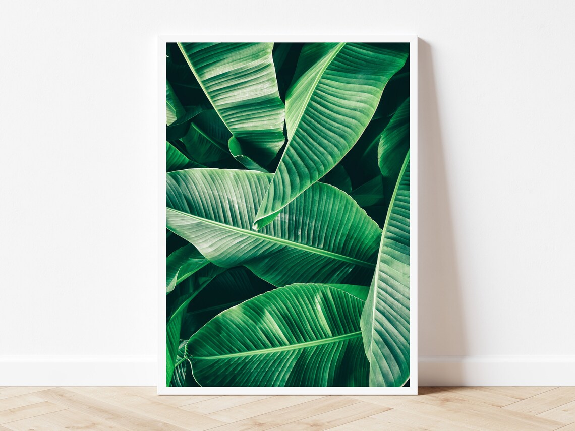 Emerald Green Banana Leaf Botanical Art Print - Image 2