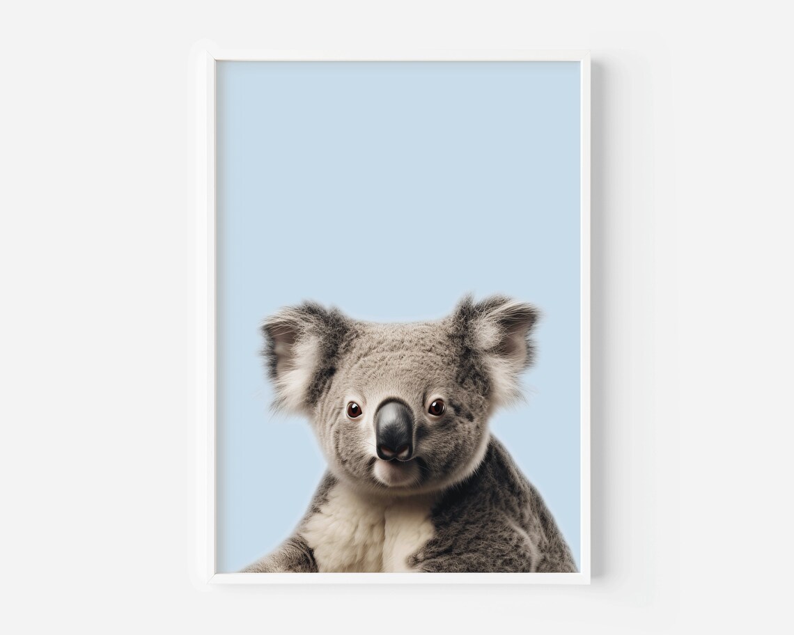 Koala Portrait Close-Up on Pale Blue Photorealistic Animal Poster - Image 2