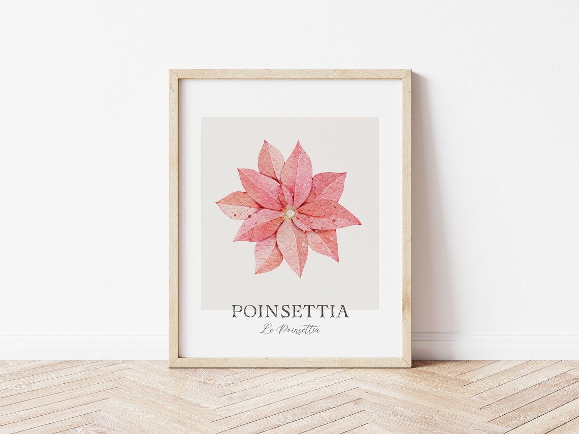 Watercolor Pink Poinsettia Botanical Print Christmas Flower Wall Art