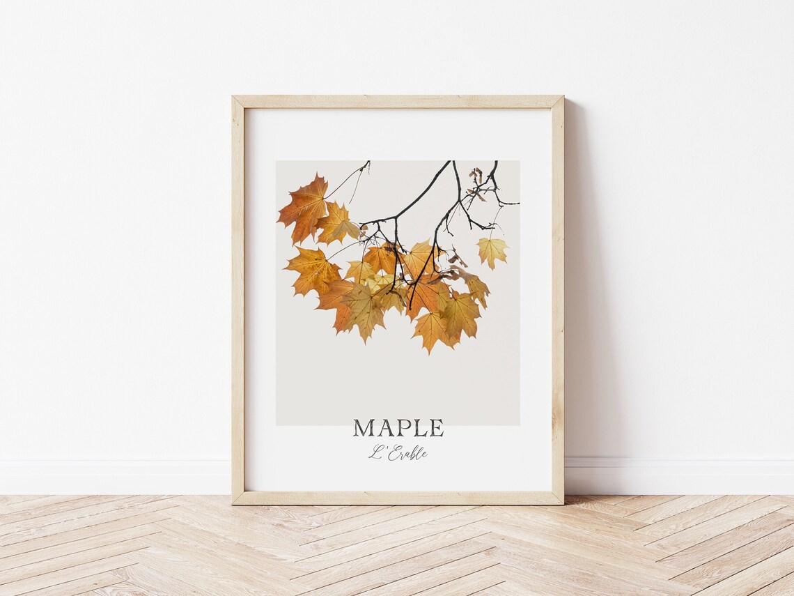 Maple Leaves Print, Fall Decor Botanical Art Print
