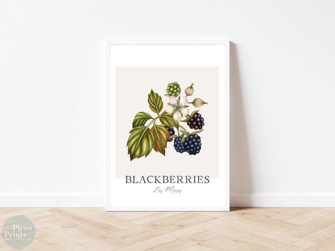 Watercolor Blackberries Botanical Print Minimal Berry Kitchen Wall Art - Image 5