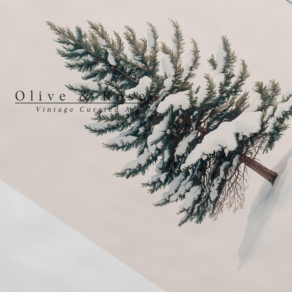 Snowy Evergreen Pine Tree Minimalist Christmas Winter Botanical Poster - Image 4