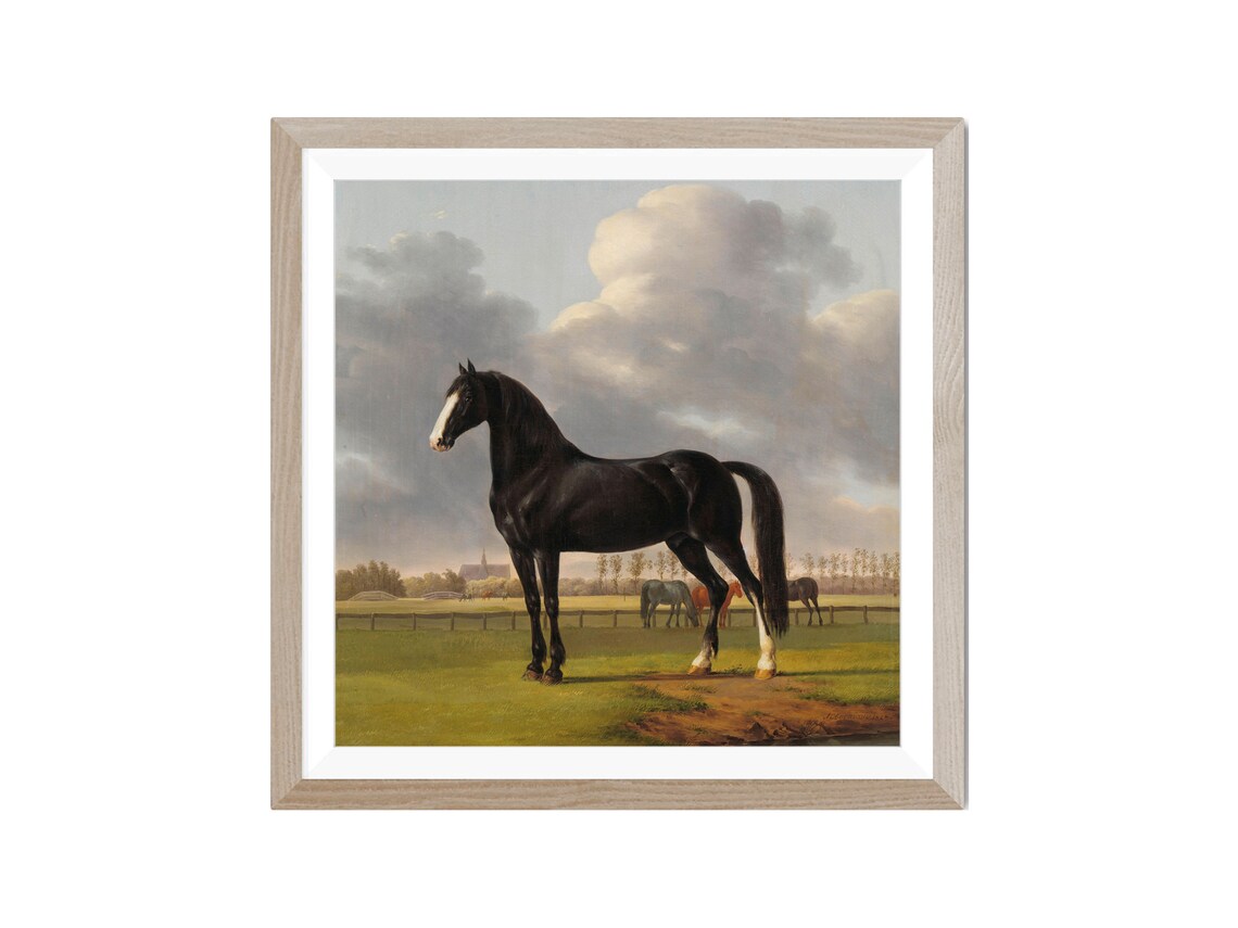 Vintage Horses Portrait Paintings Art Print - Image 2