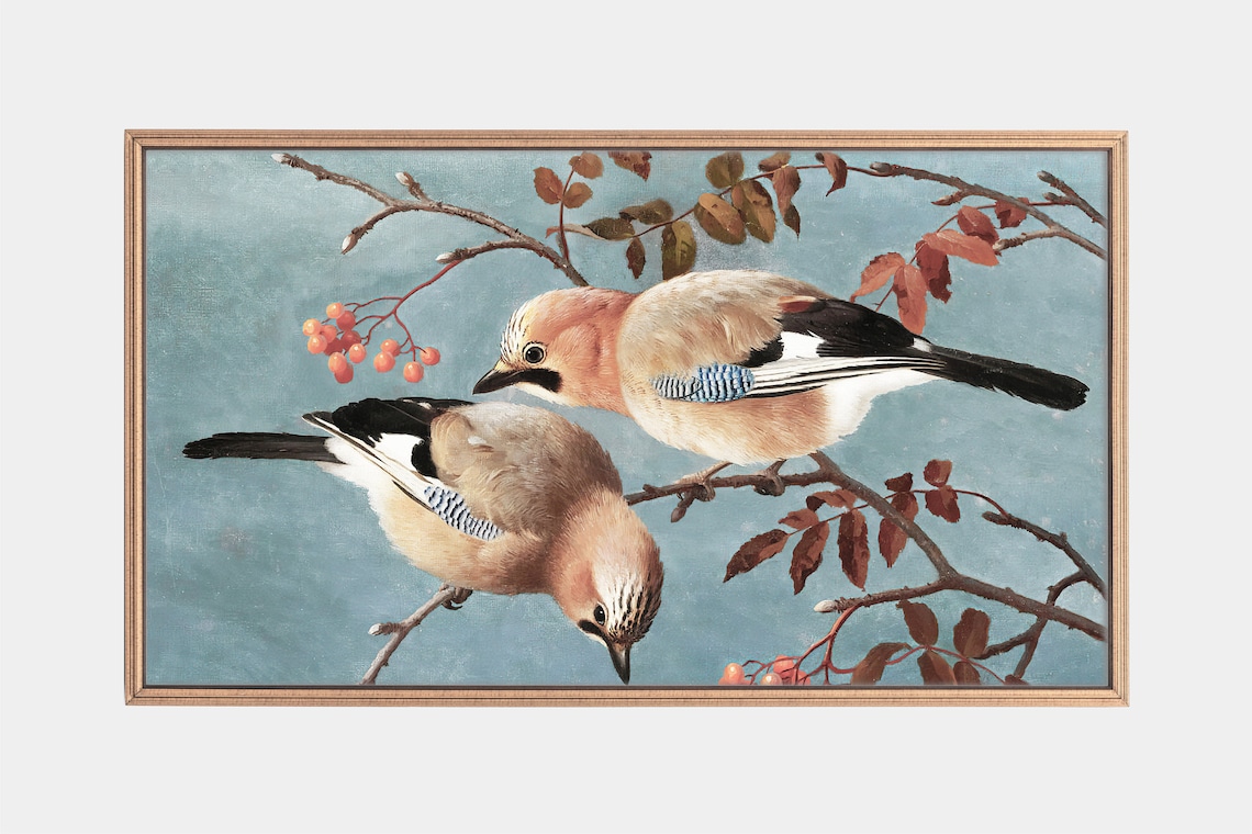 Jays Vintage Bird Art Paintings Art Print