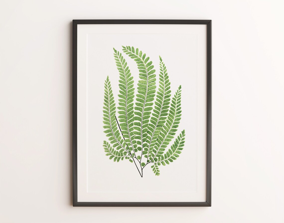 Green Fern Fronds Watercolor Botanical Illustration Art Print - Image 2