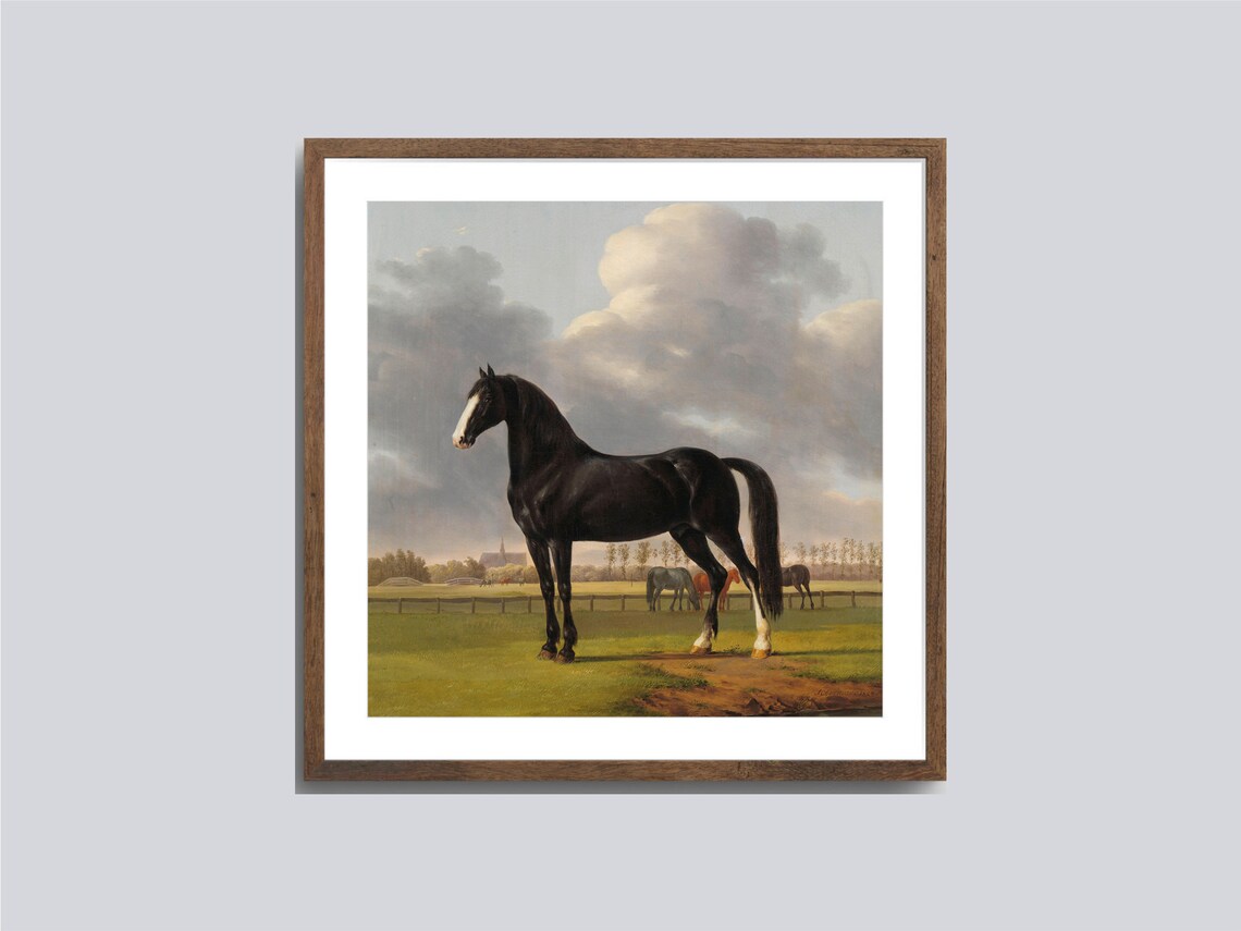 Vintage Horses Portrait Paintings Art Print
