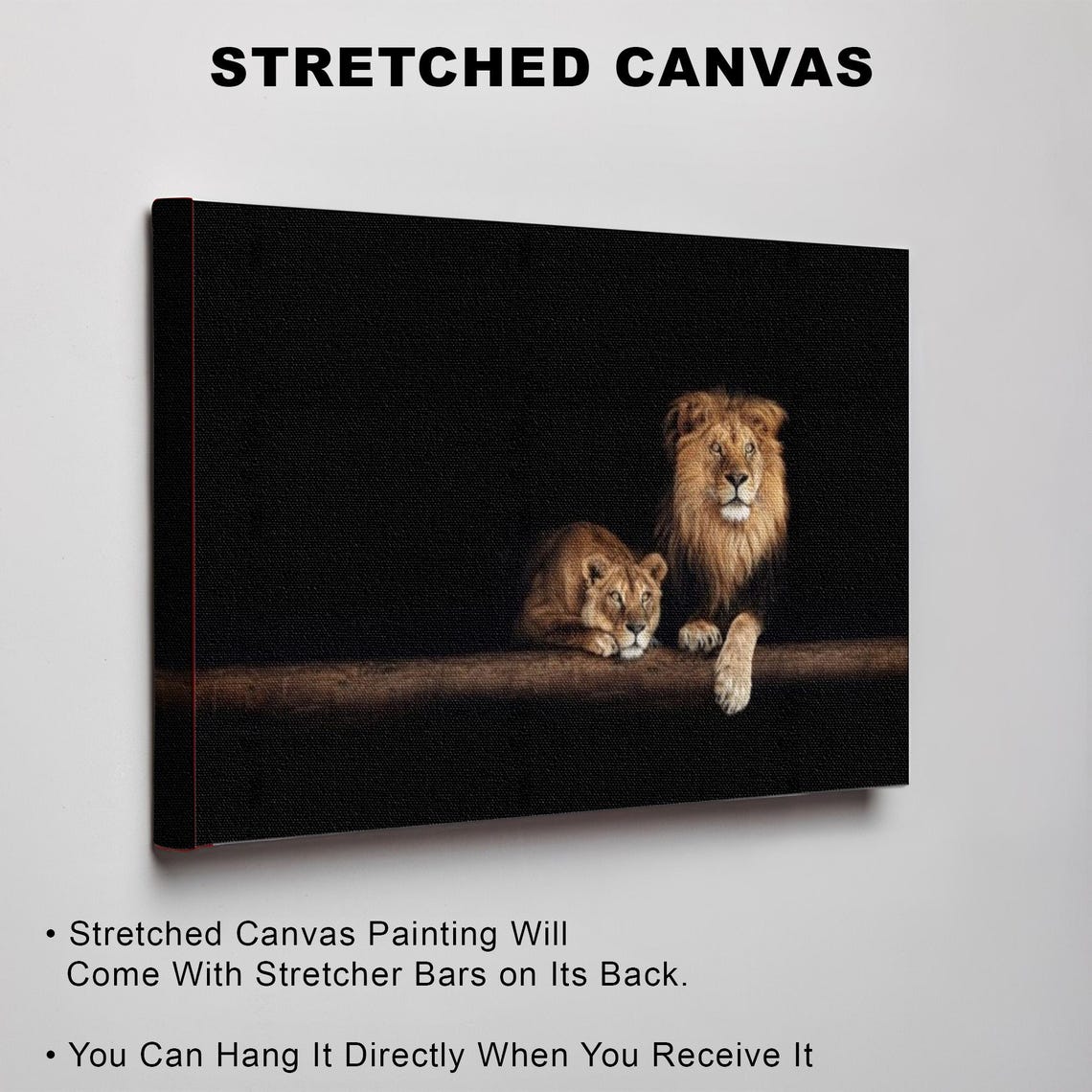Lion and Lioness Resting Together on a Black Background Poster - Image 3