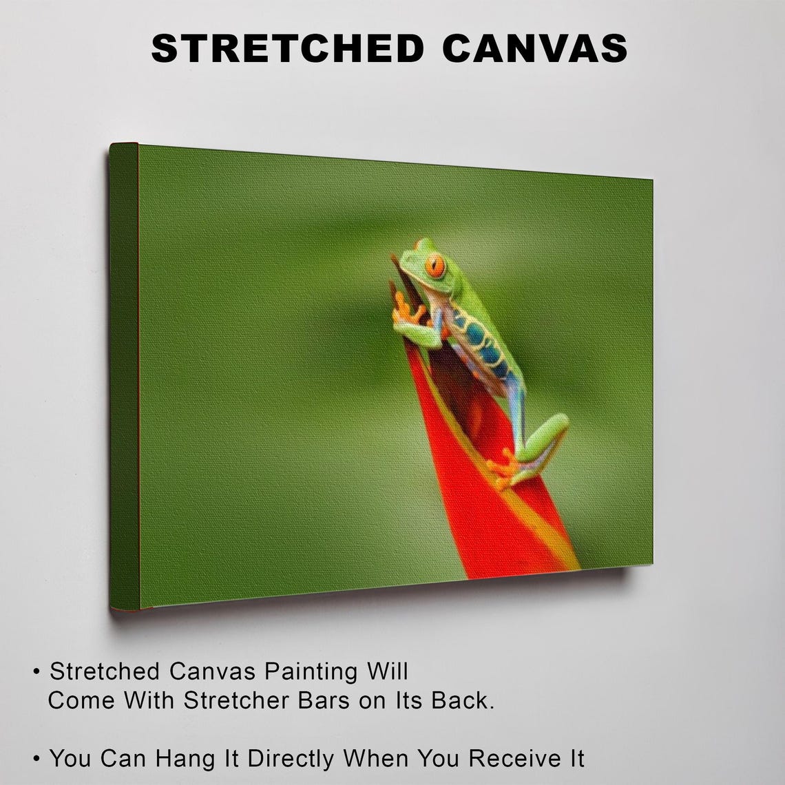 Red Eyed Tree Frog Resting On A Bright Tropical Red Flower Poster - Image 3