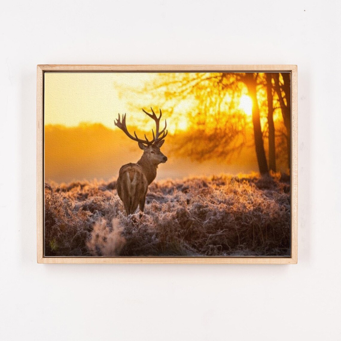 Stag Deer At Sunset In A Frosty Field Wildlife Photo Art Poster - Image 4