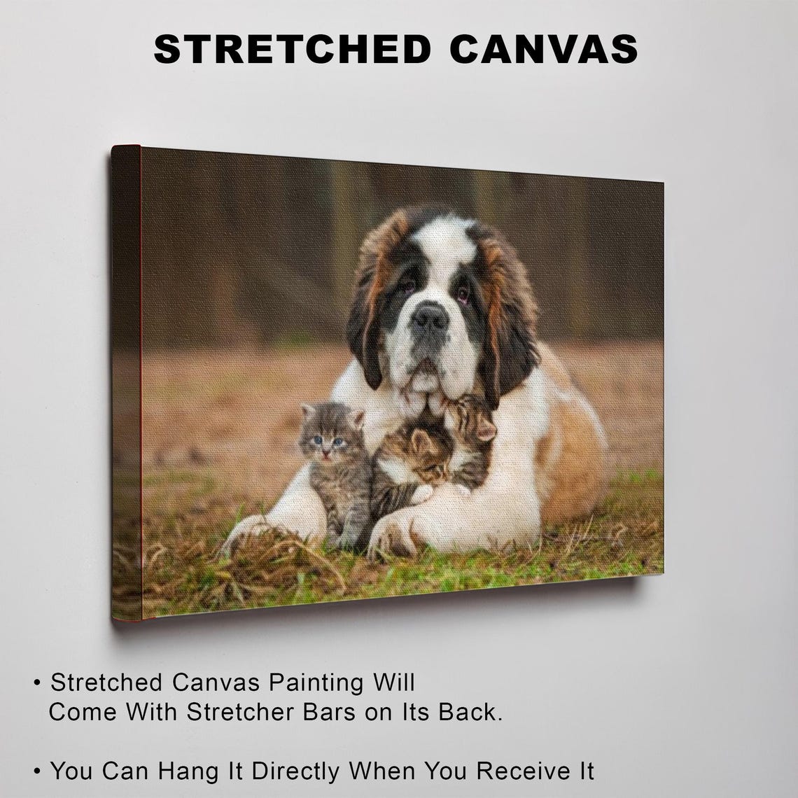 Saint Bernard Dog With Two Tiny Kittens Outdoor Photography Poster - Image 3