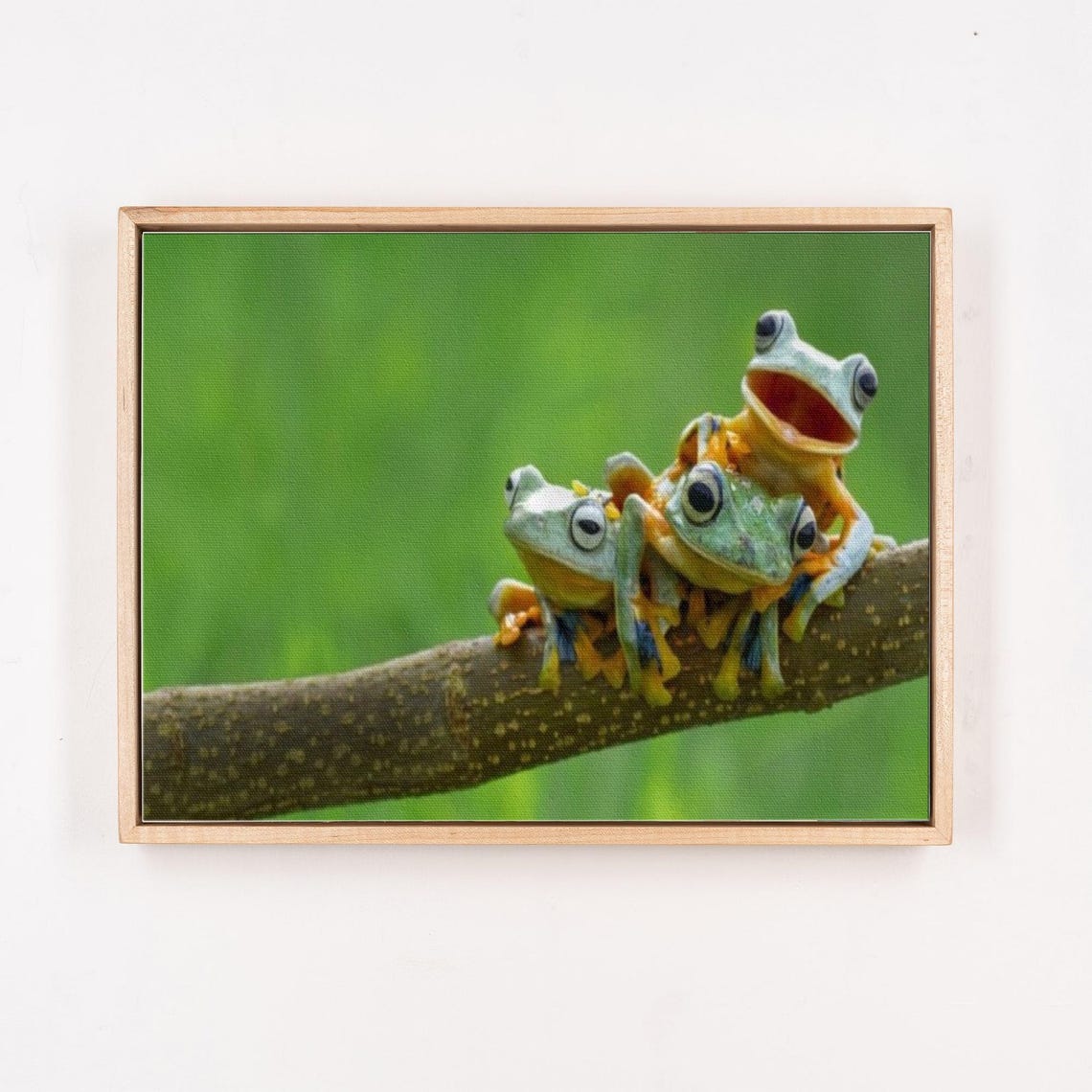 Three Tree Frogs Perched On A Branch Wildlife Photo Art Poster - Image 4