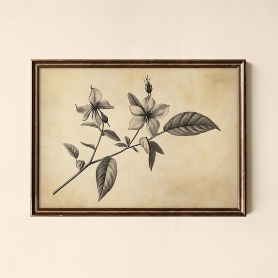 Vintage Flower Print Botanical Bedroom Wall Art Collected Prints Cpl676