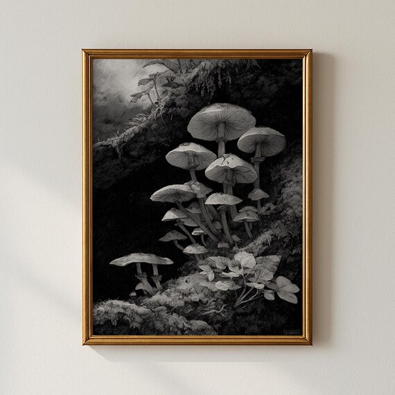 Black And White Mushroom Sketch Monochrome Fungi Vintage Study Poster