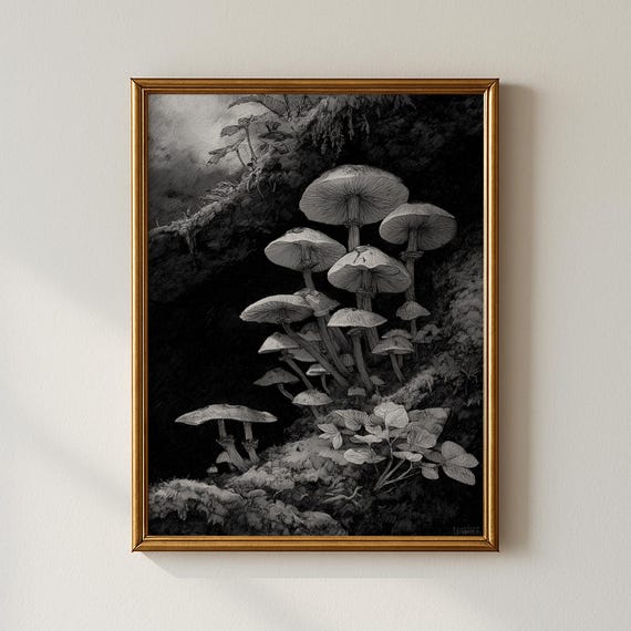 Vintage Forest Print Landscape Wall Art Living Room Decor Collected Prints Cpp656