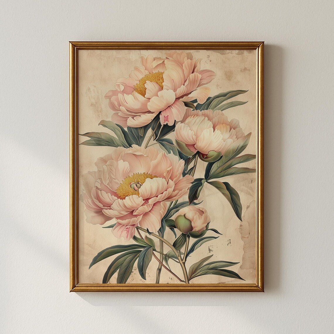Vintage Spring Peony Botanical Art Print