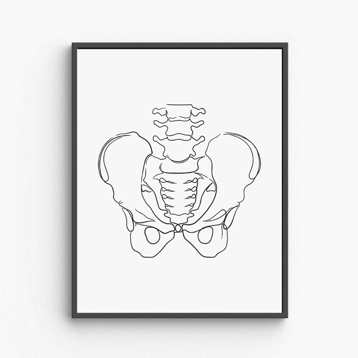 Pelvis Anatomy Line Art Medical Skeleton Illustration Modern Poster