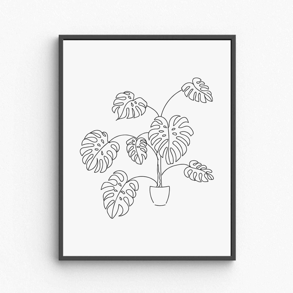 Monstera Potted Plant Line Art Minimalist Botanical Drawing Poster