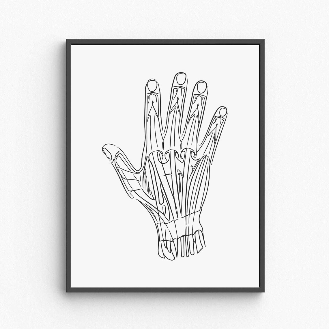 Hand Muscles Anatomy Line Art Medical Illustration Office Poster
